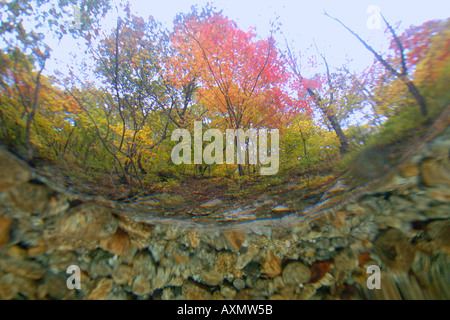 Image fractionnée d'eau douce naturel le printemps et l'automne feuillage Seoraksan Parc national de la province de Gangwon en Corée du Sud Banque D'Images