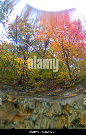 Image fractionnée d'eau douce naturel le printemps et l'automne feuillage Seoraksan Parc national de la province de Gangwon en Corée du Sud Banque D'Images