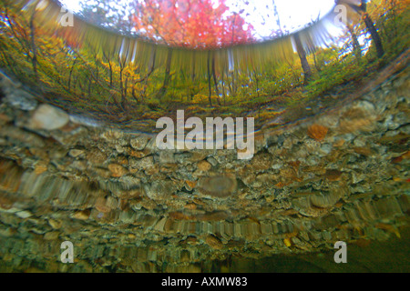 Image fractionnée d'eau douce naturel le printemps et l'automne feuillage Seoraksan Parc national de la province de Gangwon en Corée du Sud Banque D'Images