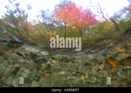 Image fractionnée d'eau douce naturel le printemps et l'automne feuillage Seoraksan Parc national de la province de Gangwon en Corée du Sud Banque D'Images