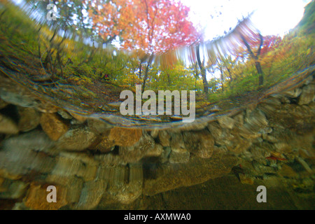 Image fractionnée d'eau douce naturel le printemps et l'automne feuillage Seoraksan Parc national de la province de Gangwon en Corée du Sud Banque D'Images
