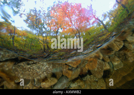 Image fractionnée d'eau douce naturel le printemps et l'automne feuillage Seoraksan Parc national de la province de Gangwon en Corée du Sud Banque D'Images