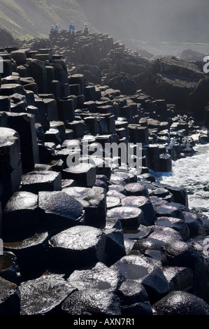 La chaussée des géants près de Bushmills, comté d'Antrim, Irlande. Colonnes de basalte de la Grande chaussée avec le nid d'abeille derrière Banque D'Images