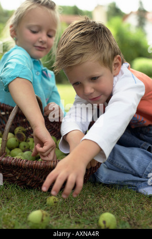 Petite fille et garçon avec un panier de limes, selective focus Banque D'Images