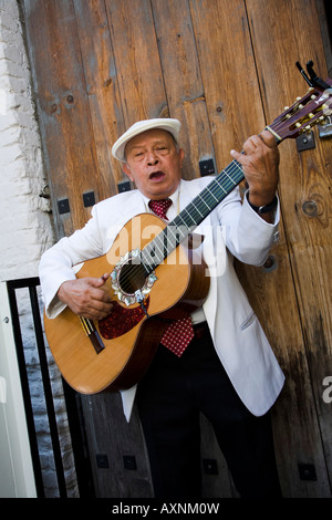 Guitariste mexicain Mariachi joue au festival de bénédiction des animaux Banque D'Images
