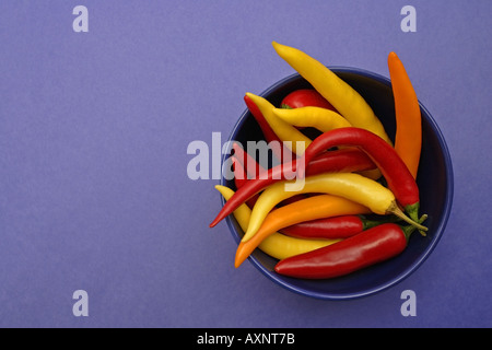 Piments assortis Banque D'Images