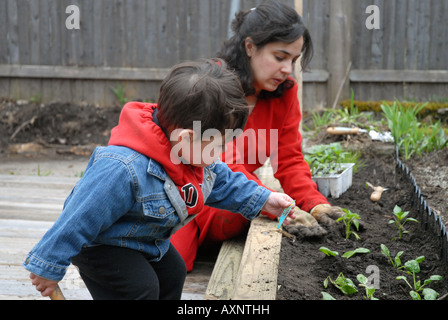 Portrait mère et fils de 18 mois des légumes dans leur cour arrière au début du printemps Banque D'Images