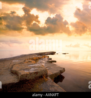 La baie de kimmeridge ledge isle of purbeck dorset england uk Banque D'Images