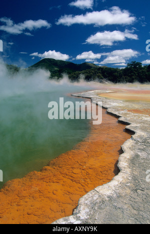 La Nouvelle-Zélande, Rotorua, île du Nord zone thermique, Wai-o-tapu Piscine Champagne, piscine thermale Banque D'Images