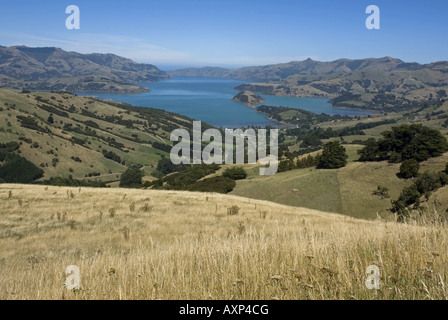 Vue panoramique de la Summit Road au-dessus de la baie à Akaroa Harbour, sur la péninsule de Banks, Nouvelle-Zélande Banque D'Images