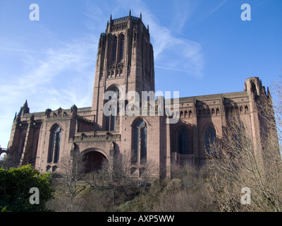 La cathédrale anglicane de Liverpool, la vue sur St James' Cemetery Banque D'Images