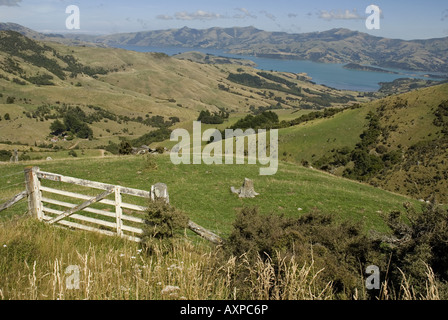 Vue panoramique de la Summit Road au-dessus de la baie à Akaroa Harbour, sur la péninsule de Banks, Nouvelle-Zélande Banque D'Images