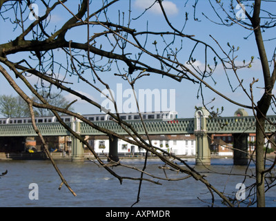 Derrière les branches pendantes d'un arbre, un train passe au-dessus du pont ferroviaire de Kew au-dessus de la Tamise Banque D'Images