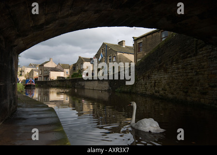 Skipton North Yorkshire Angleterre UK Un cygne muet sur le canal de Leeds à Liverpool qui passe à travers la ville Banque D'Images