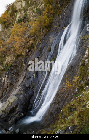 Aber Falls ou dans Coedydd Rhaeadr Fawr Aber Réserve naturelle nationale 'Snowdonia National Park' Abergwyngregyn Gwynedd au nord du Pays de Galles Banque D'Images
