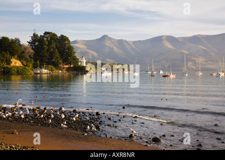 Voir à partir de la mer pour l'ensemble du phare de la baie Française à Akaroa sur la péninsule de Banks, île du Sud, Nouvelle-Zélande Banque D'Images