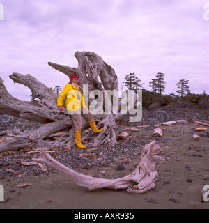 Female Hiker reposant sur un grand tronc de bois flotté et de la racine sur une plage de la côte ouest de l'île de Vancouver British Columbia Canada Banque D'Images