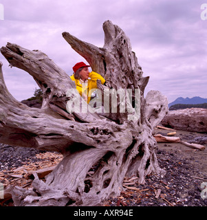 Female Hiker reposant sur un grand tronc de bois flotté et de la racine sur une plage de la côte ouest de l'île de Vancouver British Columbia Canada Banque D'Images