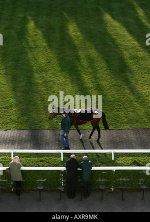 Les acheteurs potentiels regarder la vente aux enchères de chevaux à l'hippodrome de Kempton Park Banque D'Images