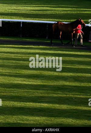 Les acheteurs potentiels regarder la vente aux enchères de chevaux à l'hippodrome de Kempton Park Banque D'Images