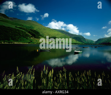 Tôt le matin sur le lac de Tal-y-Llyn North Wales Banque D'Images