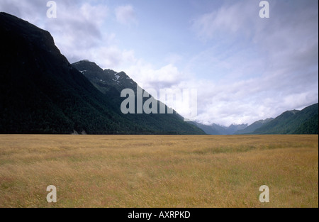 Earl montagnes près de Milford Sound Nouvelle-zélande Southland Banque D'Images