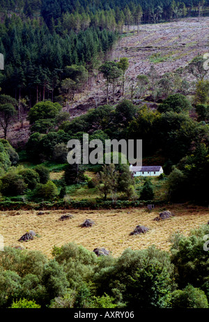 Gîte Irlande Glendalough Banque D'Images