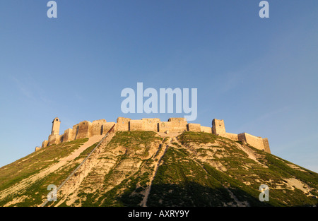 Une vue de la citadelle de la vieille ville d'Alep, Syrie Banque D'Images