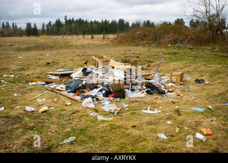 Les déchets déposés illégalement se trouve dans un champ Banque D'Images