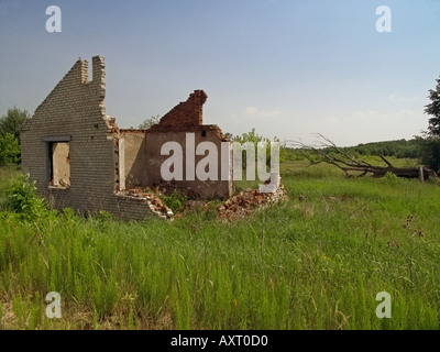 L'abandon de la propriété abandonnée en décomposition et arborescence réduite au milieu de la prospérité et la croissance du feuillage, zone d'exclusion de Tchernobyl, le Bélarus Banque D'Images