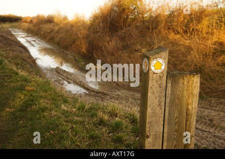 Sentier pour waymarkers sur le tracé de l'Wendover bras du Grand Union canal Banque D'Images