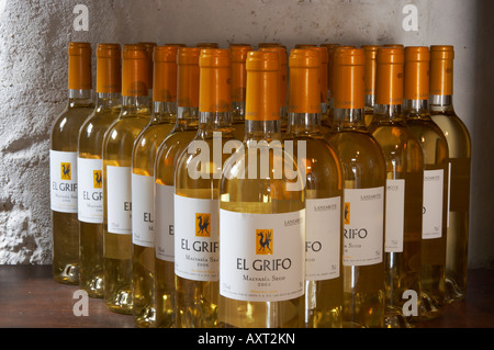 'El Grifo' sec vin blanc sur écran en el Museo del Vino dans la région viticole de la Geria sur Lanzarote. Banque D'Images