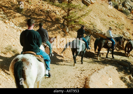 Groupe de cavaliers Banque D'Images