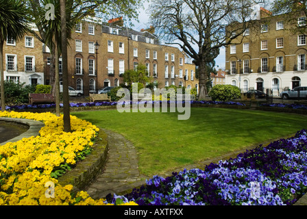 Canonbury Square Gardens Londres N1 Georgian quatre étages et la terrasse sous-sol abrite London borough of Islington 2008 2000S UK HOMER SYKES. Banque D'Images