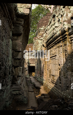 Couloirs en pierre gravée avec des illustrations dans un temple cambodgien près de Angkor Wat Banque D'Images