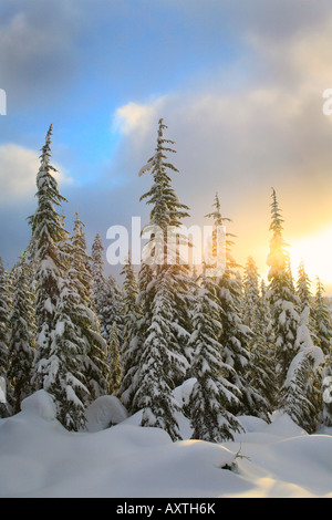 Dans le lac Washington's Skyline des cascades dans la neige en hiver Banque D'Images