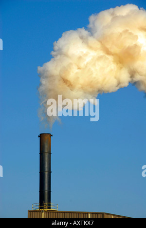 La pollution de l'verse de cheminées d'une usine de transformation de betterave à sucre à la suite de la combustion du charbon Banque D'Images