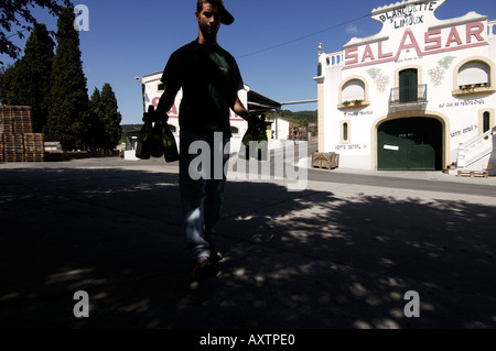 L'vinery Salasar à Campagne sur Aude Banque D'Images