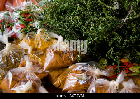 Ingrédients biologiques pour curry épicé au marché dans les Seychelles Banque D'Images