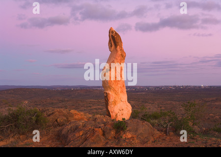 Le désert vivant Sculptures, Broken Hill, New South Wales, Australie, Pacifique Banque D'Images