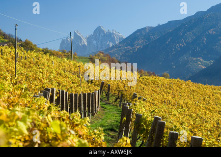 Vignes, Val di Funes, Dolomites, la province de Bolzano, Trentin-Haut-Adige, Italie, Europe Banque D'Images