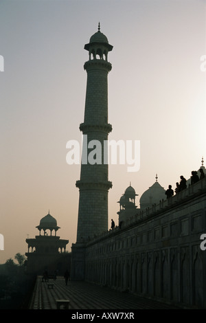 Taj Mahal, UNESCO World Heritage Site, Agra, Uttar Pradesh, Inde, Asie Banque D'Images