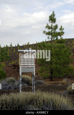 Le pin et station météorologique sur champ de lave sur l'île de Tenerife, Tenerife, Espagne Banque D'Images