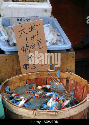 Crabes qui sont encore en vie sont offerts sur le marché dans Chinatown, USA, Manhattan, Chinatown, New York Banque D'Images