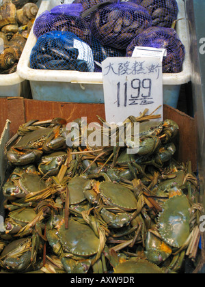 Crabes qui sont encore en vie sont offerts sur le marché dans Chinatown, USA, Manhattan, Chinatown, New York Banque D'Images