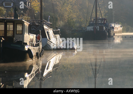 Spooky effrayant dawn sunlit river mist reflet rivière Medway allington kent Banque D'Images