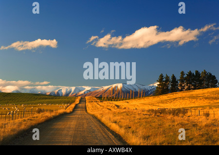 Route de gravier et Hawkdun, gamme, Ranfurly Central Otago, île du Sud, Nouvelle-Zélande, Pacifique Banque D'Images