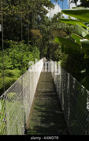 Des ponts suspendus d'une promenade dans la forêt tropicale, Arenal, Costa Rica Banque D'Images