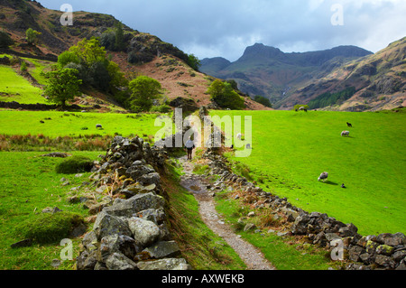 L'Angleterre, Cumbria, Parc National de Lake District. Un randonneur marchant le long de la Cumbria Way près de Chapel Stile Banque D'Images