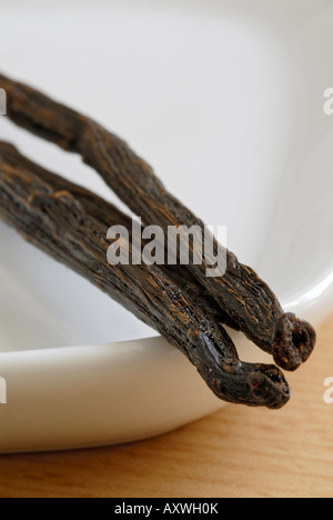 La vanille (Vanilla planifolia), deux gousses de vanille séchée allongé sur un petit bol blanc. Banque D'Images
